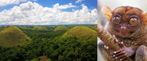 Discount Bohol Travel Package