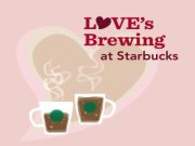 Love’s Brewing at Starbucks