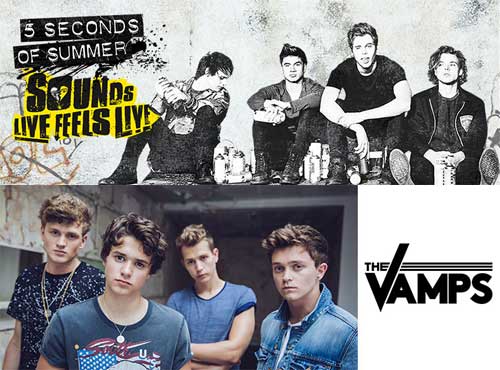 5SOS and The Vamps Ticket Presale Visa Promo